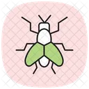 Housefly Insect Pest Icon