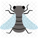 Insect Icon