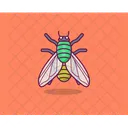 Bird Insect Butterfly Icon