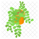Plant Decorative Potted Icon