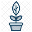 Houseplant Plant Growth Potted Plant Icon