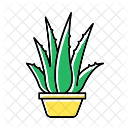 Houseplant  Icon