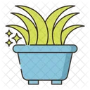 Houseplant  Icon