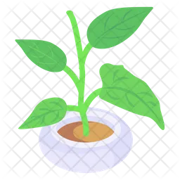 Houseplant  Icon