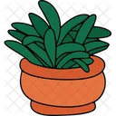 Plant Nature Pot Icon