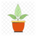 Houseplant growing in pot  Icon