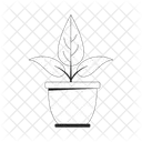 Houseplant growing in pot  Icon