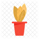 Houseplant  Icon