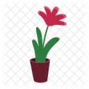 Houseplant  Icon