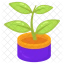 Plant Houseplant Pot Icon