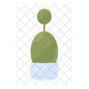 Bush Pot Plant Icon