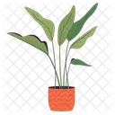 Houseplant with large leaves  Icon