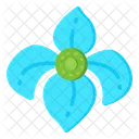 Houstonia Caerulea  Icon