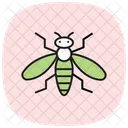 Hoverfly Insect Pollinator Icon