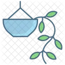Hoya Carnosa Plant  Icon