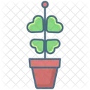 Hoya Heart Plant  Icon