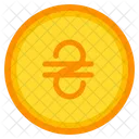Hryvnia Moneda Moneda Icono
