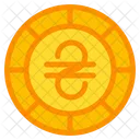 Hryvnia Coin Currency Icon