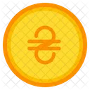 Hryvnia Coin Currency Icon