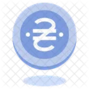 Hryvnia Money Currency Icon
