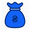 Hryvnia money bag  Icon