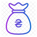 Hryvnia money bag  Icon