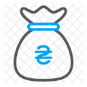 Hryvnia money bag  Icon