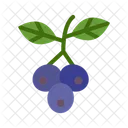 Huckleberry Vitamin Organic Icon