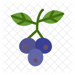 Huckleberry  Icon