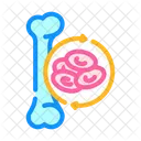 Trasplante De Medula Osea Icono