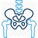 Hueso Pelvico Anatomia Cuerpo Icono