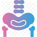 Hueso Pelvico Pelvis Area Icono