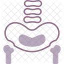 Hueso Pelvico Pelvis Area Icono