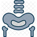 Hueso Pelvico Pelvis Area Icono