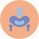 Hueso Pelvico Pelvis Area Icono