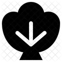 Schale Schalentiere Meeresfruchte Symbol