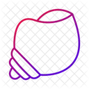 Muschel Muschel Schalentiere Symbol