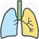 Humain Poumons Respiration Icône