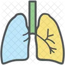 Human Lungs Breathing Icon