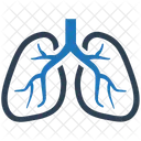 Human Lungs Pulmonology Icon