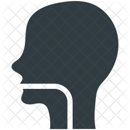Human Icon