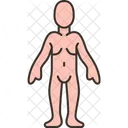Human Body Anatomy Icon