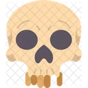 Human Skull Anatomy Icon