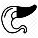Human Body Icon