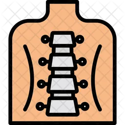 Human Backbone  Icon