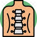 Human Backbone Icon