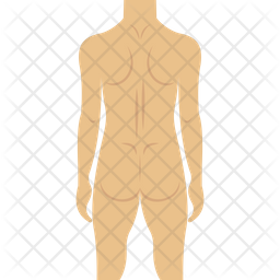 Free Human Body Icon Of Flat Style Available In Svg Png Eps Ai Icon Fonts