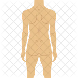 Human Body  Icon