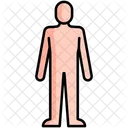 Human Body  Icon