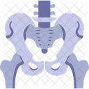 Human Bone Skeleton  Icon
